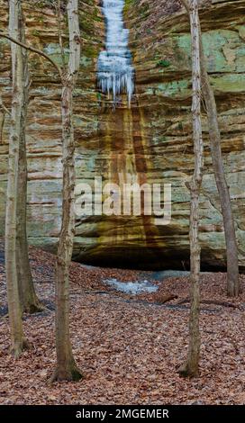 De petits arbres encadrent un icefall partiel sur un mur de canyon dans le canyon de Kaskaskia, Starved Rock State Park, comté de LaSalle, Illinois Banque D'Images