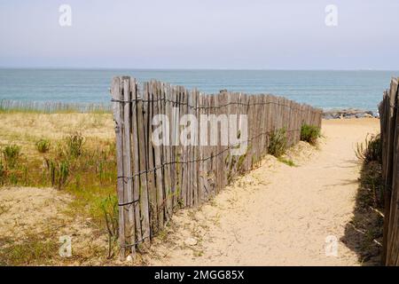 Accès océan sentier de sable clôture en bois à la plage océan côte atlantique de la mer sur l'île d'isle oléron en France Banque D'Images