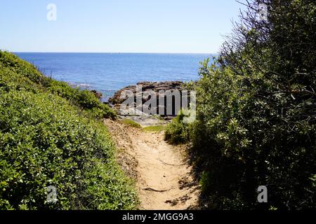 Accès par chemin de sable à la plage atlantique de Talmont-Saint-Hilaire, à vendée, en france Banque D'Images