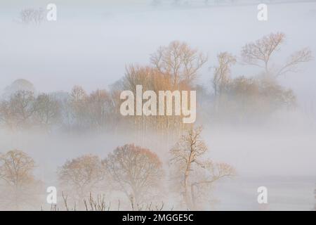 Hiver matin lumière du soleil sur un Arlescote brumeux gelé dans la campagne du Warwickshire. Angleterre Banque D'Images
