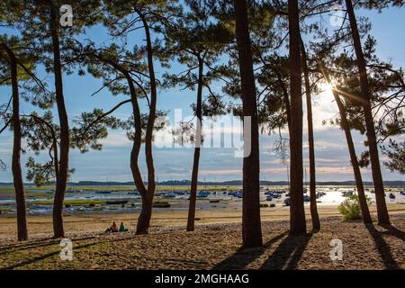 Ares (sud-ouest de la France) : vue d'ensemble de la baie d'Arcachon à marée basse dans la soirée Banque D'Images