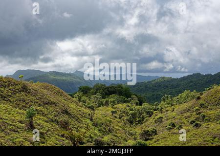 Îles Marquises, Polynésie française : vue d'ensemble des montagnes verdoyantes du plateau de Toovii, Nuku Hiva Banque D'Images