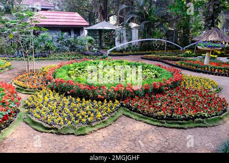 25 janvier 2023, Pune, Inde, le jardin botanique de l'impératrice lors du spectacle floral annuel à Pune. Banque D'Images