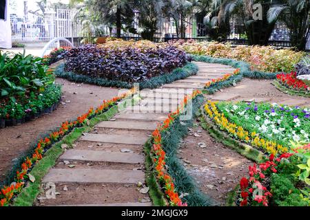 25 janvier 2023, Pune, Inde, le jardin botanique de l'impératrice lors du spectacle floral annuel à Pune. Banque D'Images