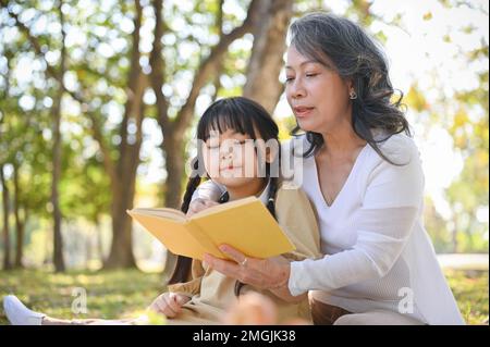 Une heureuse grand-mère asiatique racontant des histoires, lisant assez des histoires à sa adorable petite-fille tout en pique-niquant dans le magnifique parc le week-end togeth Banque D'Images