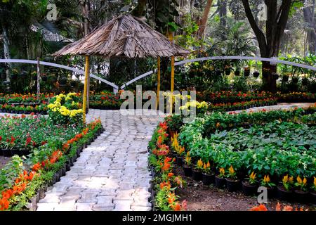 25 janvier 2023, Pune, Inde, le jardin botanique de l'impératrice lors du spectacle floral annuel à Pune. Banque D'Images