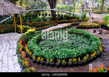 25 janvier 2023, Pune, Inde, le jardin botanique de l'impératrice lors du spectacle floral annuel à Pune. Banque D'Images