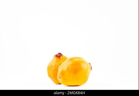 Coing frais mûr sur fond blanc isolé. Profondeur de champ mûre. Quinces fraîches pour le régime alimentaire cru non cuit sain savoureux légumes à base de plantes biologiques Banque D'Images