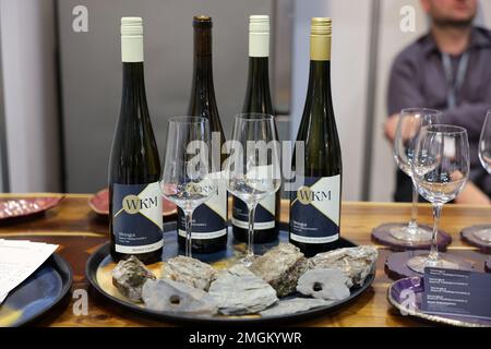 Cracovie, Pologne - 17 novembre 2022: Salon international du vin ENOEXPO à Cracovie. Les producteurs de vin du monde entier rencontrent les importateurs di Banque D'Images