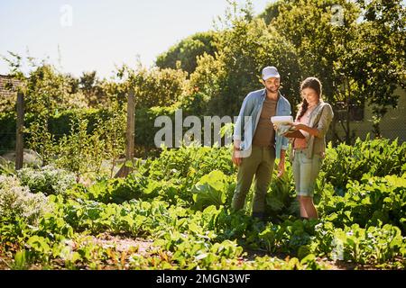 Pas un légume hors de place. deux jeunes agriculteurs heureux travaillant ensemble dans les champs de leur ferme. Banque D'Images