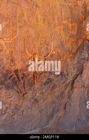 Célèbre sculpture de secours rock d'une vache en pleurs à Tegharghart, près de Djanet, Parc national de Tassili nAjjer, Algérie du Sud, Afrique du Nord, Banque D'Images