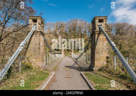 Le monument historique classé et classé de catégorie II* de Whorlton suspension Bridge over the River Tees, comté de Durham, Royaume-Uni Banque D'Images