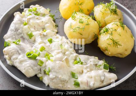 Filet de hareng épicé dans une sauce crémeuse avec une garniture de pommes de terre bouillies dans une assiette sur la table. horizontale Banque D'Images