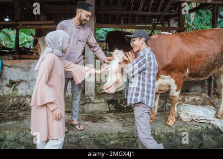 un fermier en chemise à carreaux apporte la vache de sa stabilité Banque D'Images