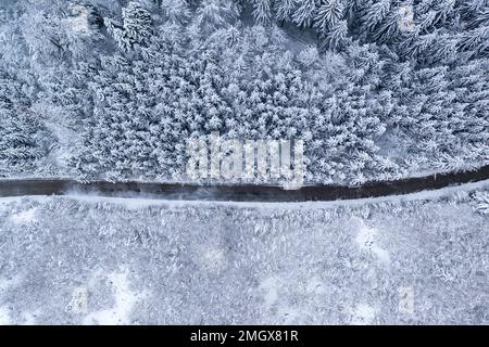 Tôt le matin après une forte tempête de neige et vue aérienne d'une route à travers la forêt primitive de Kocevski rog avec de la neige fraîche sur les arbres, Kocevje, Slovénie Banque D'Images
