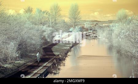 Image infrarouge de la fausse couleur de la voie de remorquage du canal Forth et clyde à Clydebank Banque D'Images