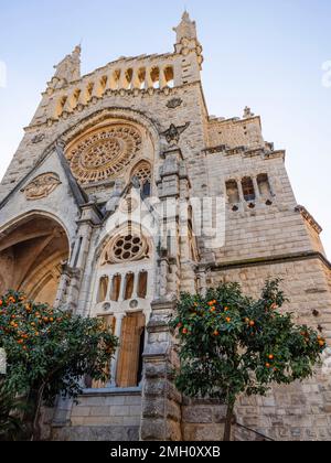 Orangers à l'extérieur de l'église St Bartholomew, Soller, Majorque, Espagne Banque D'Images