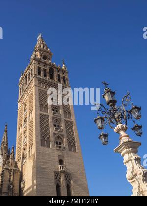 La Giralda, la Tour du clocher, la Cathédrale de Séville, Séville, Andalousie, Espagne, Europe Banque D'Images