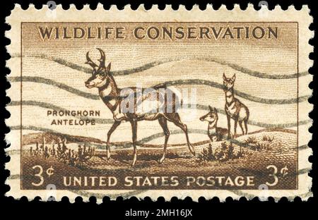 USA - VERS 1956: Un timbre imprimé aux Etats-Unis montre l'Antelope de Pronghorn, Wildlife conservation issue, vers 1956 Banque D'Images