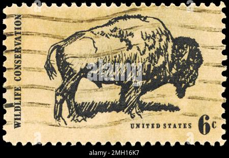 États-Unis - VERS 1970 : un timbre imprimé aux États-Unis montre l'American Buffalo, Wildlife conservation issue, vers 1970 Banque D'Images