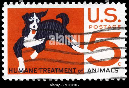 États-Unis - VERS 1966 : un timbre imprimé aux États-Unis montre le Mongrel, Humane traitement des animaux issue, vers 1966 Banque D'Images
