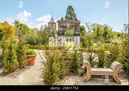 Des boxers façonnés au Collector Earls Garden, au château d'Arundel, dans l'ouest du Sussex, en Angleterre Banque D'Images