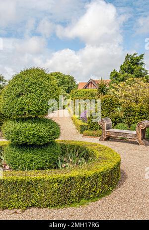 Des boxers façonnés au Collector Earls Garden, au château d'Arundel, dans l'ouest du Sussex, en Angleterre Banque D'Images