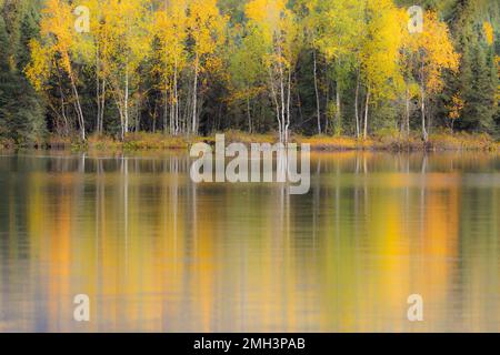 Feuillage d'automne et réflexion sur le lac dans le centre-sud de l'Alaska. Banque D'Images