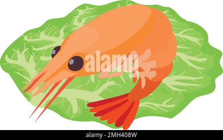 Icône alimentaire saine vecteur isométrique. Feuille de chou vert frais et crevettes rouges. Concept alimentaire, fruits de mer Illustration de Vecteur