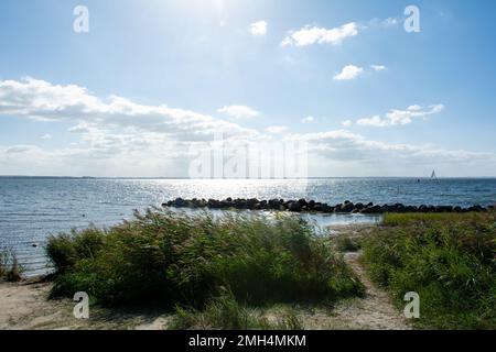 Brise-lames fait de grosses pierres dans l'eau sur la côte de la mer Baltique, voilier à l'horizon, avec herbe sur la plage sur l'île de Poel, germe Banque D'Images