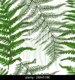 Branches de plantes motif aquarelle sans couture. Motif fougère sans coutures. Illustration vectorielle Illustration de Vecteur