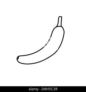 Icône de banane dans l'icône de lignes d'esquisse doodle Illustration de Vecteur