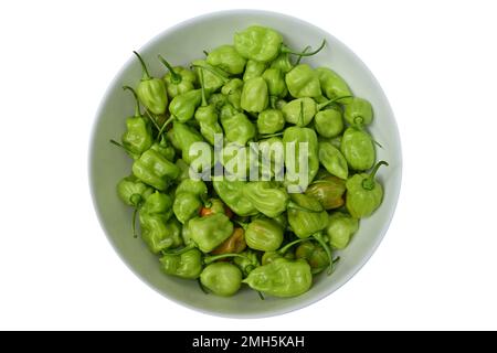 Vue en hauteur de beaucoup de pads de piment vert Capsicum Chinense dans un grand bol en céramique dans un arrière-plan isolé Banque D'Images