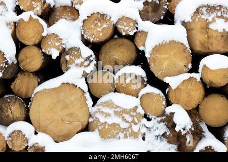 Bois empilés sous la neige Banque D'Images