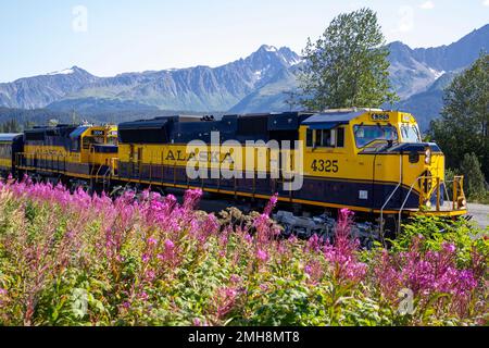 Le Alaska Railroad Coastal Classic s'étend entre Anchorage et Seward, en Alaska. Banque D'Images