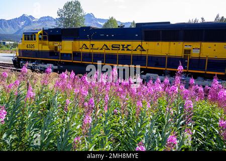 Le Alaska Railroad Coastal Classic s'étend entre Anchorage et Seward, en Alaska. Banque D'Images