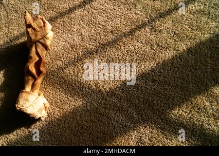 mâché brut hide chien os sur un tapis de bronzage fenêtre ombre heure d'or Banque D'Images