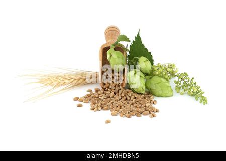 Branche de houblon vert et de fleurs de houblon près de graines de grain de blé se répande de la pelle en bois, bière brassicole et ingrédient de la pharmacie Banque D'Images