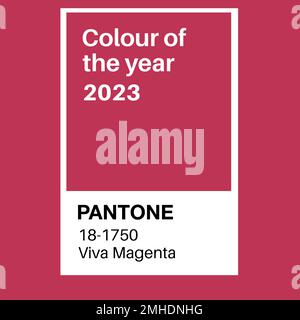 Pantone Viva Magenta Trending couleur de l'année 2020. Motif de couleur, illustration vectorielle Illustration de Vecteur