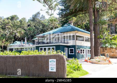 Choux Tree club, club privé réservé aux membres de l'établissement pour hommes, faisant partie du club de surf de Palm Beach sur Ocean Road Palm Beach, Sydney, Nouvelle-Galles du Sud, Australie Banque D'Images