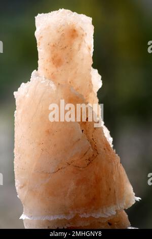 Sel himalayen teinté rose (halite) de formes naturelles diverses : (pix Sanjiv Shukla) Banque D'Images