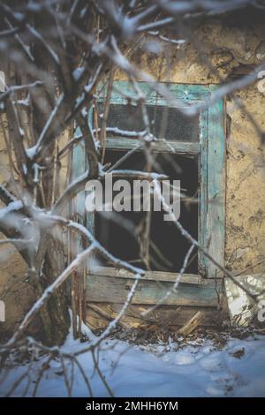 Gros plan des branches surcultivées devant la maison abandonnée avec une photo de concept de fenêtre cassée Banque D'Images