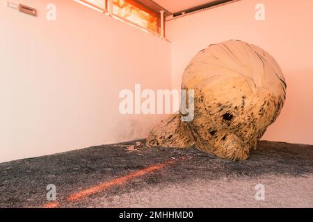 Vue sur le pavillon suisse de la Biennale de Venise 2022 avec des œuvres de Latifa Echakhch Banque D'Images