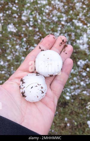 Grosses pierres de grêle dans la main d'homme avec la grêle dans le fond d'herbe de jardin de plancher après l'orage Banque D'Images