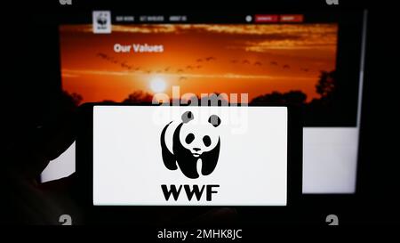 Personne détenant un smartphone avec le logo du Fonds mondial pour la nature Inc. (WWF) à l'écran en face du site Web. Mise au point sur l'affichage du téléphone. Banque D'Images