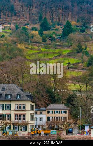 Belle vue sur le célèbre Schlangenweg (Snake Path), un sentier étroit et clos qui serpente sur la colline depuis la vieille ville de Heidelberg de l'autre côté... Banque D'Images