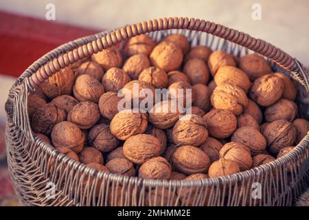 Panier à noix (Juglans regia) Banque D'Images