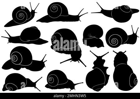 Collage de différentes silhouettes d'escargots isolées sur du blanc Banque D'Images