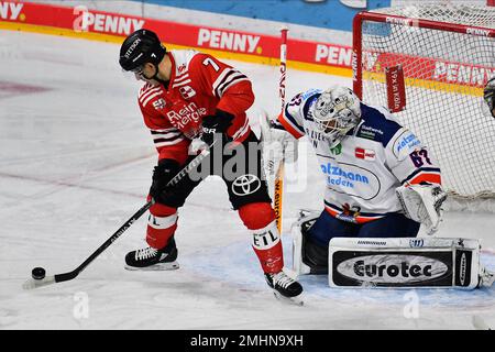 COLOGNE, ALLEMAGNE - 24 JANVIER 2023: Match de hockey DEL Koelner Haie - Iselorhn Roosters Banque D'Images