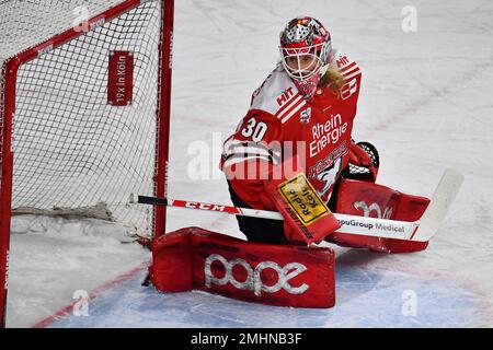 COLOGNE, ALLEMAGNE - 24 JANVIER 2023: Match de hockey DEL Koelner Haie - Iselorhn Roosters Banque D'Images